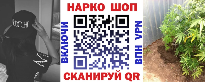 Конопля Курганинск