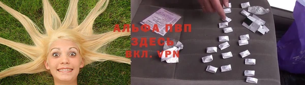 гидра Белоозёрский