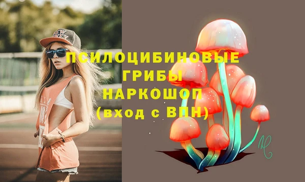 гидра Белоозёрский