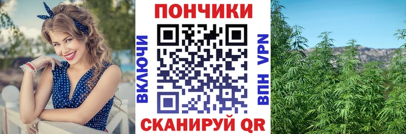 дарнет шоп  блэк спрут ссылка  Бошки марихуана ГИДРОПОН  Курганинск 